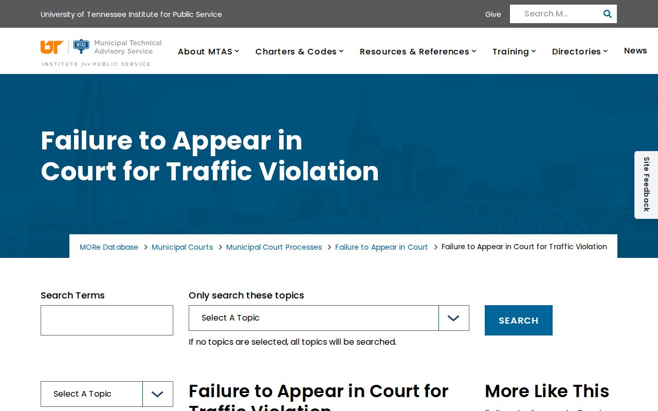 Decatur County traffic warrant information: Tennessee MTAS traffic FTA guidance